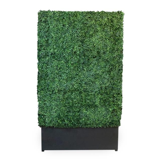 Where to find ARTIFICIAL HEDGE WALL 4x8 W BASE in Miami