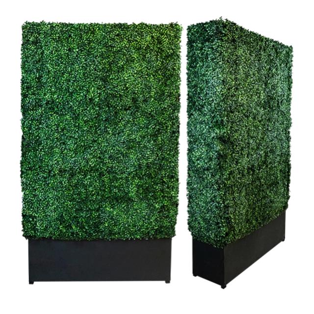 Where to find ARTIFICIAL HEDGE WALL 4x8 W BASE in Miami